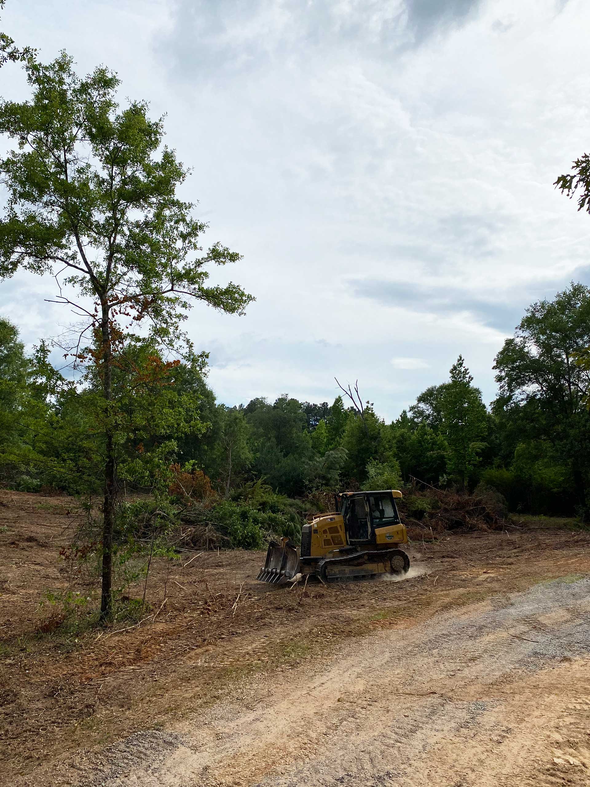 land clearing